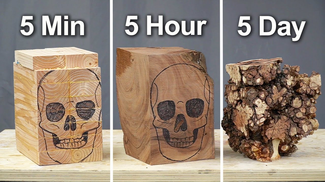 Watch an Artist Carve Skulls in 5 Minutes, 5 Hours, and 5 Days